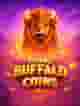 Young Buffalo Coins